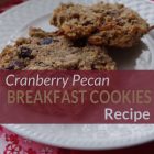Cranberry Pecan breakfast cookies recipe