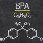 BPA Exposure During Pregnancy