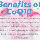 PCOS Diva Benefits of CoQ10