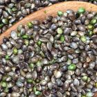 Hemp Seeds in a PCOS diet